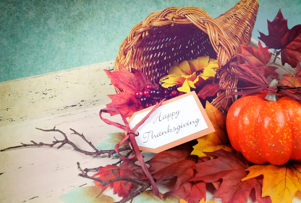 Happy Thanksgiving cornucopia with Autumn Fall leaves, pumpkin, sunflower and berries on white shabby chic tray against a pale blue background, with retro grunge filter.